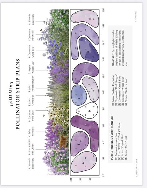 Island Garden Bed Shapes, Narrow Garden Plan, Lavender Garden Ideas Front Yards, Coastal Cottage Landscaping, Naturalistic Garden Design, Flower Bed Under Window, Long Garden Design Layout, Colonial Landscaping Front Yards, Flower Bed Designs Layout