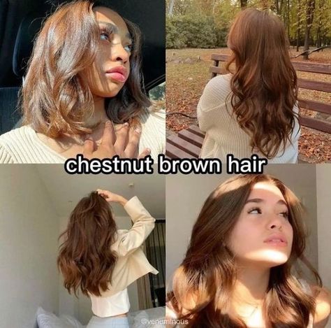 Check out our hair color board for more hair color ideas and hair color inspiration comment and follow for more Chestnut Brown Hair On Tan Skin, Brown Hair For Tan Skin, Hair Colour For Tan Skin, Tan Skin Hair Color Ideas, Hair Colors For Tan Skin, Hair Color For Pale Skin, Hair Colors For Pale Skin, Euphoria Hair, Rich Party