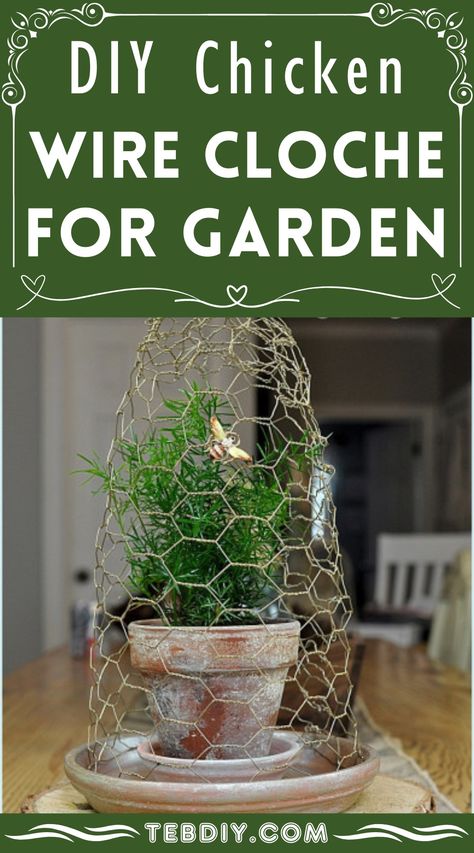 How to DIY Chicken Wire Cloche For Garden (Step-by-Step Guide) Chicken Wire Cloche, Chicken Wire Diy, Wire Cloche, Wire Plant, Garden Cloche, Chicken Wire Crafts, Garden Gadgets, Tiny Bowls, Bird Netting