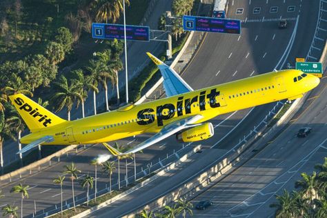 Spirit Airlines invades Miami Jet Fly, Commercial Plane, Summer Schedule, Airline Company, Spirit Airlines, Los Angeles International Airport, American Airlines, World Of Sports, Paint Schemes