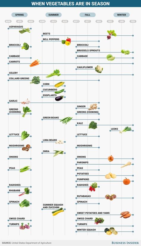 Vegetable Chart, Cooking Green Beans, Fall Vegetables, Eat Seasonal, Food Info, Home Vegetable Garden, Seasonal Food, Vegetable Seasoning, In Season Produce