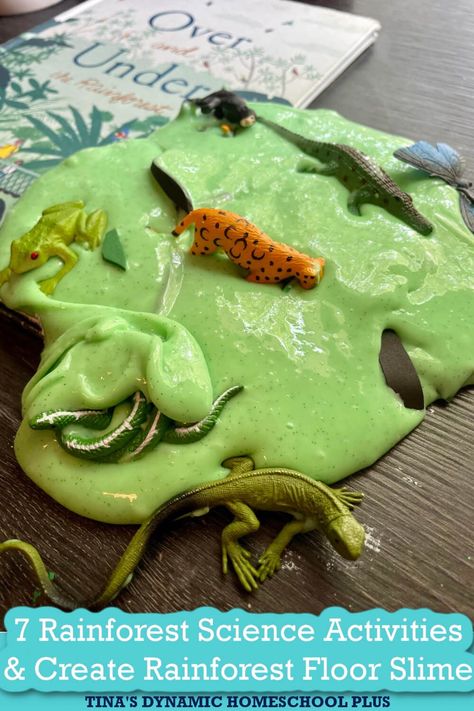 Rainforest Activities Preschool Science Experiments, Jungle Theme Stem Activities, Rainforest Art Activities, Rainforest Science Preschool, Rainforest Playdough, Rainforest Experiments For Kids, Amazon Rainforest Activities, Rainforest Science Experiments For Kids, Jungle Science Experiments