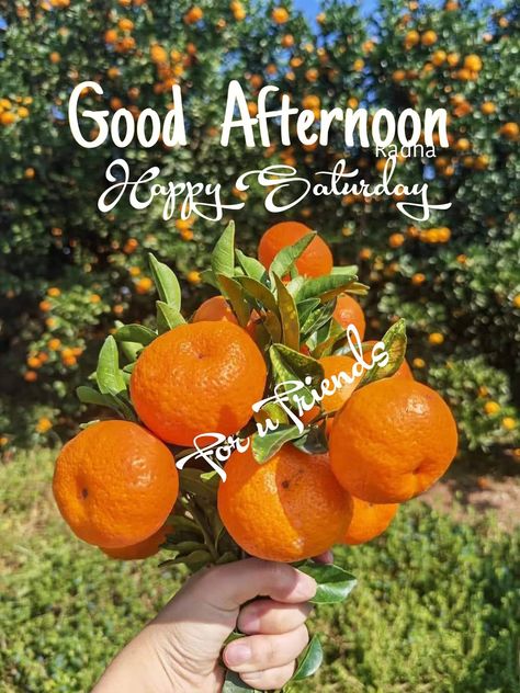 Saturday Afternoon Greetings, Have A Nice Saturday, Afternoon Greetings, Saturday Afternoon, Good Afternoon, Morning Quotes, Good Morning Quotes, Sunny Days, Good Morning