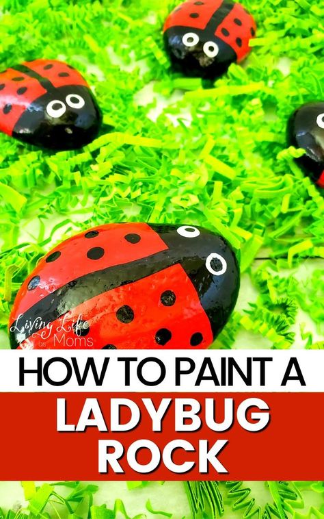 Are you new to rock painting? Then this is for you! I have here some easy steps on how to paint a ladybug rock. A perfect rock painting design for beginners. Lady Bug Painted Rocks, Diy Stressball, Ladybug Rocks, Cute Ladybug, Ladybug Crafts, A Ladybug, Acrylic Craft Paint, Rock Painting Ideas Easy, Painting Rocks