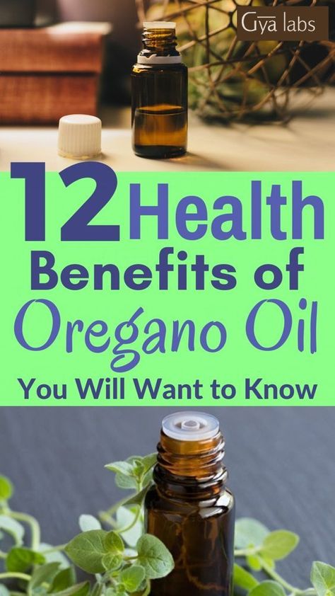 oil of oregano Benefits Of Oregano, Oil Of Oregano, Oregano Oil Benefits, Oregano Essential Oil, Healthy Holistic Living, Oregano Oil, Essential Oil Benefits, Culinary Herbs, Healthy Benefits