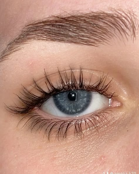 Long Thick Eyelashes Aesthetic, Long Healthy Eyelashes, Blue Eyes Long Lashes Aesthetic, Blue Eyes Long Eyelashes, Light Blue Eyes With Dark Ring, Long Lashes Natural Blue Eyes, Full Eyelashes Natural, Blue Eyes With Long Eyelashes, Long Eyelashes Blue Eyes