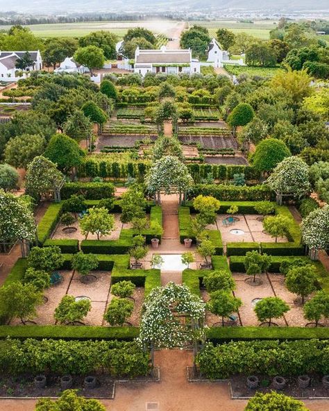 Babylonstoren on Instagram: "Most of the rose towers in our garden are now completely covered with fragrant blooms. 🌹 Among the heritage varietals are Mme Alfred Carrière, Kiftsgate, Lamarque, Albéric, Barbier, Albertine, Souvenir de la Malmaison, and Mermaid.⁠ ⁠ Besides roses, the garden is also bearing sweet raspberries, cherries, and stone fruit. 🍒⁠ ⁠ ⁠ ⁠ #babylonstoren #franschhoek #capewinelands #farmlife #winecountry #gardening #gardentotable #farmtotable #simonsberg #gardenlife #lovegar Parterre Garden, Medicinal Garden, Farm Layout, Birch Forest, Farm Lifestyle, Estate Garden, Potager Garden, Castle Garden, Large Garden