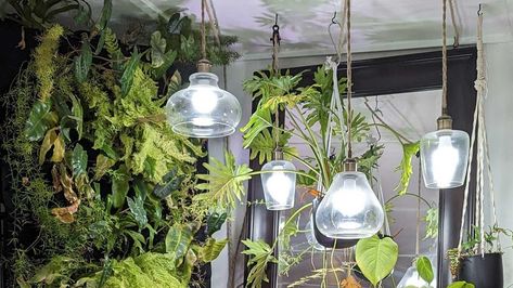 For under $50, you can build a lamp that makes your plants, you, and your decor happier. Grow Lamps, Can Diy, Diy Lamp Shade, Grow Light, Diy Lamp, Lamp Bulb, Grow Lights, Garden Lighting, Hanging Lamp