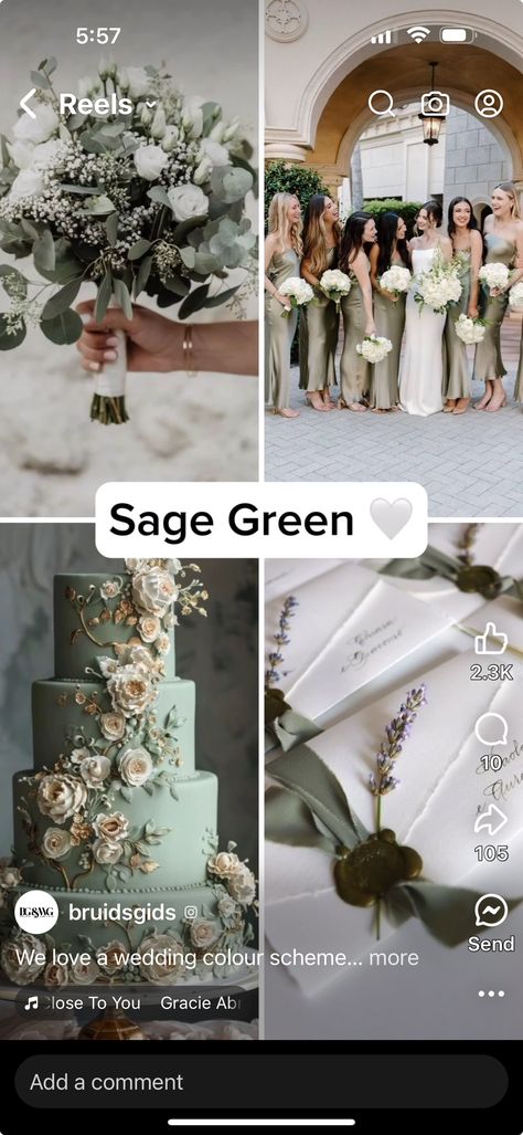 Faerie Wedding, Grey Wedding Theme, Sage Green Wedding Colors, Green Themed Wedding, Green Wedding Colors, Wedding Colour, Green Color Schemes, Sage Green Wedding, Steampunk Wedding