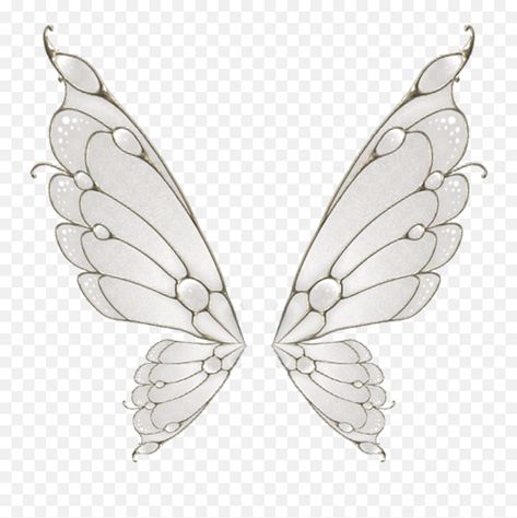 Fairy Wings Aesthetic, Fairy Wings Drawing, Tinkerbell Wings, Fairy Wing Tattoos, Butterfly Wing Tattoo, Wings Inspiration, Angel Wings Png, Wings Sketch, Pixie Wings