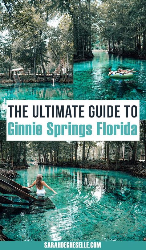 Ginnie Springs Florida, Florida Manatees, Springs In Florida, Ginnie Springs, Florida Trips, Florida Vacation Spots, Florida Travel Destinations, Florida Pictures, Florida Travel Guide