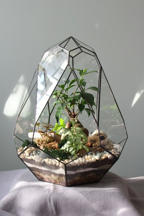 Desk Terrarium, Open Terrarium Ideas, Terrarium Aesthetic, Small Terrarium Ideas, Fake Terrarium, Big Terrarium, Vintage Terrarium, Victorian Terrariums, Glass Terrarium Ideas