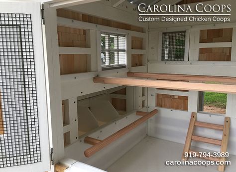 Carolina Coop – custom made chicken coops. Inside the henhouse Chicken Coop Drawing, Chicken Coop Interior, Coop Interior, Inside Chicken Coop, Chicken Enclosure, Chicken Fence, Chicken Home, Shed Building, Poultry House