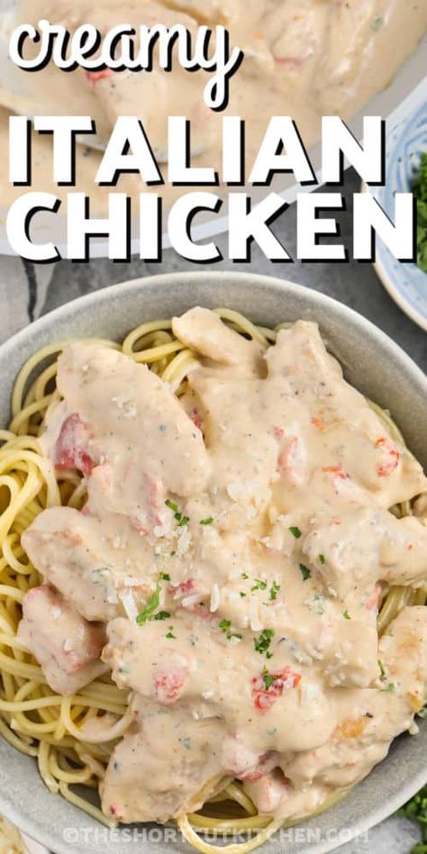 One Pan Recipe, Stove Top Chicken, Utah Food, Creamy Italian Chicken, Italian Chicken Recipes, Creamy Parmesan Sauce, Chicken Fettuccine, Pan Recipe, Paleo Crockpot