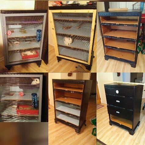 DIY Dresser bunny hutch Diy Bunny Hutch, Diy Bunny Cage, Pet Rat Cages, Diy Rabbit Cage, Diy Rabbit Hutch, Bunny Supplies, Hedgehog Cage, Diy Guinea Pig Cage, Guinea Pig Diy