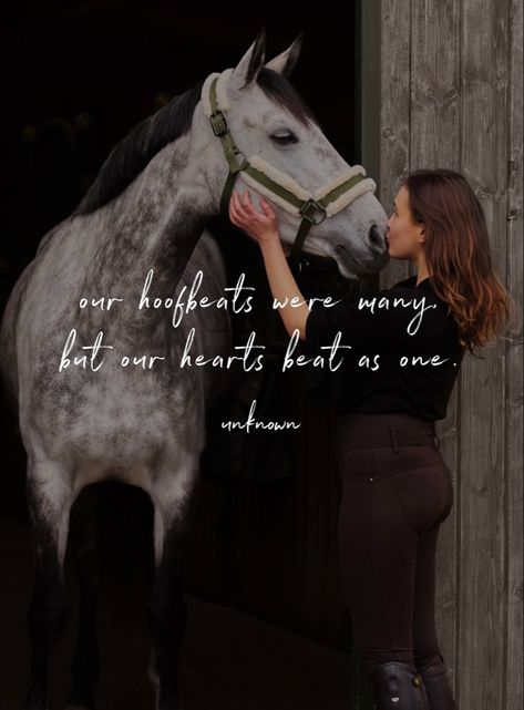 Horse Lover Quotes, Horse Sayings, Country Sayings, Rodeo Quotes, Horse Quote, Inspirational Horse Quotes, Horse Riding Quotes, Bond Quotes, Cowboy Quotes