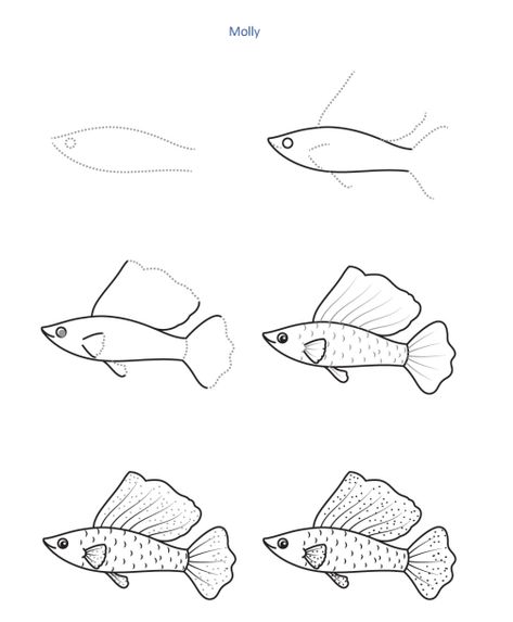 Seashell Drawing, Cute Coloring Pages, Life Drawing, Fish Art, Art Drawings Simple, Figure Drawing, Arts And Crafts For Kids, Drawing Tutorial, Animal Drawings