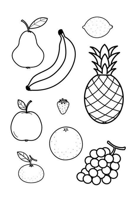 Coloring page all fruit together - coloring picture all fruit together. Free coloring sheets to print and download. Images for schools and education - teaching materials. Img 25437. Fruit Coloring, Fruit Coloring Pages, Drawing Lessons For Kids, Fruits Drawing, Fruit Picture, Free Coloring Sheets, Fall Fruits, All Fruits, Fruit Of The Spirit