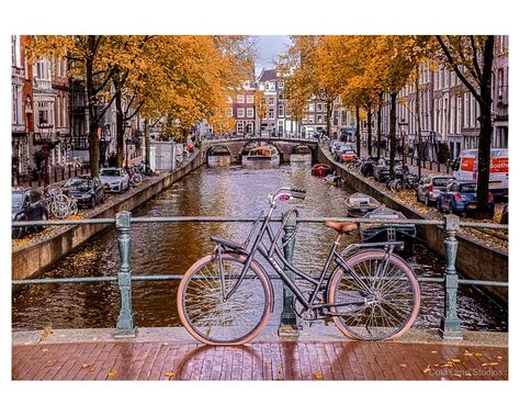 There is always a bicycle in Amsterdam! #colalimestudios #travel #travelphoto #travelphotography #travelphotographer #fujifilm #fujifilmxseries #amsterdam #netherlands #fujifilmphoto #fujifilmphotographer #fujifilmphotography #street #streetphotography #streetphoto #canal #pleasantdecay #pleasant #decay #boat #autumn #autumncolors #orange #bicycle #bridge Orange Bicycle, Amsterdam Netherlands, Street Photo, Travel Photographer, Travel Photos, Street Photography, Fall Colors, Netherlands, Amsterdam