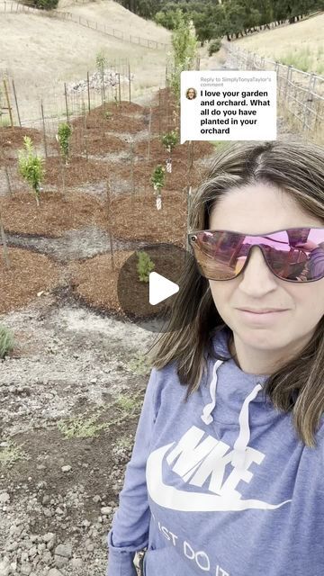 Melonie on Instagram: "A quick garden tour of our fruit tree orchard. 24 trees so far. Lemon trees, apple trees, orange trees, and some fun ones too. #fruittrees #gardentour #growyourownfood #minifarm #zone9b" Fruit Tree Orchard, Acerage Homes, Tree Orchard, Lemon Trees, Orange Trees, Apple Trees, Mini Farm, Horse Ranch, Fruit Tree