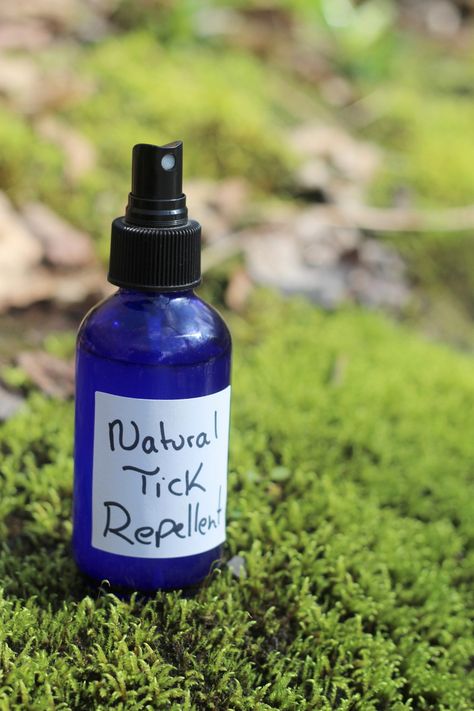 This tick spray contains an essential oil that one study showed was comparable to DEET in repelling ticks. It's safe for kids over two and pregnant/nursing mamas. Natural Tick Repellent, Mosaics Ideas, Tank Pools, Homemade Bug Spray, Tiny Farmhouse, Tick Spray, Tick Repellent, Essential Oil Spray, Diy Essentials