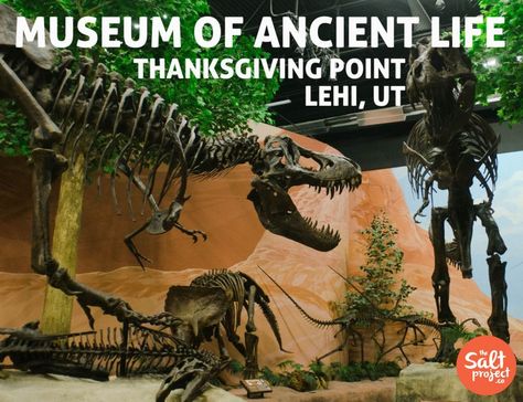 Museum of Ancient Living | Thanksgiving Point | Lehi | Field Trippin' | The Salt Project | Things to do in Utah with kids Thanksgiving Point Utah, Utah With Kids, Things To Do In Utah, Devils Tower, Thanks Giving, Spring Trip, Road Trip Usa, How To Run Longer, Family Vacation