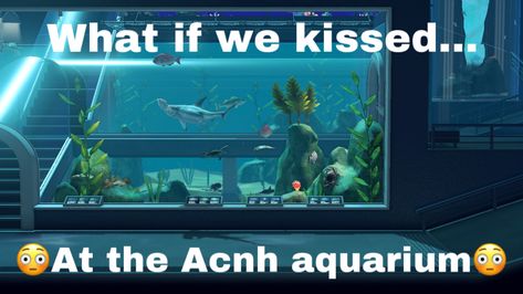 Acnh Aquarium, What If We Kissed On The, Starcrossed Lovers, What If We Kissed, Happy Brain, Would U Rather, We Kissed, Bro What, Animal Crossing Guide