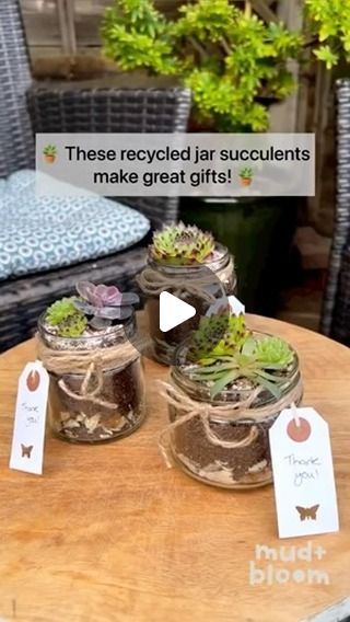 Mud & Bloom | Make up glass jar succulents 🌵  These little succulents in recycled glass jars make perfect gifts and are a great way to say thank you to... | Instagram Glass Jar Plants, Plants In Glass Jars, Transplant Succulents, Replanting Succulents, Mason Jar Succulents, Butterfly Release, Succulents In Glass, Plant In Glass, Plants In Jars