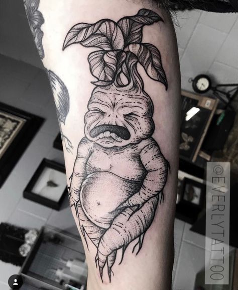 Harry Potter mandrake blackwork tattoo Harry Potter Mandrake, Harry Potter Tattoo Sleeve, Harry Potter Mermaid, Harry Potter Creatures, Hogwarts Tattoo, Succulent Tattoo, Partner Tattoos, Harry Tattoos, Pagan Tattoo