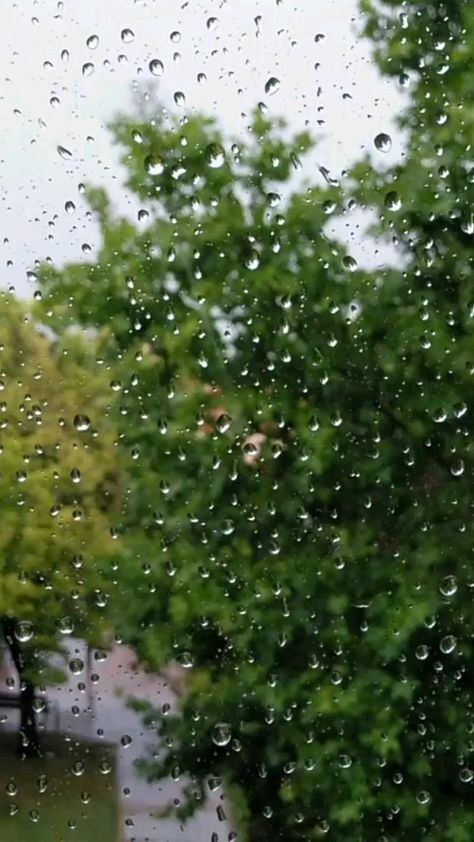 Nature Edit, Rain Beautiful, Heart Photos, Poetry Videos, Relaxing Rain, Rain Sounds, Video Nature, Dslr Background, Beautiful Poetry