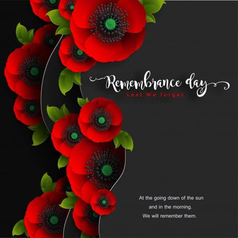 Happy Remembrance Day, Poppy Pictures Remembrance, We Will Remember Them, Remberence Day Art, Poppy Quotes, Rememberence Day, Remembrance Day Images, Remembrance Day Photos, Poppy Remembrance Day