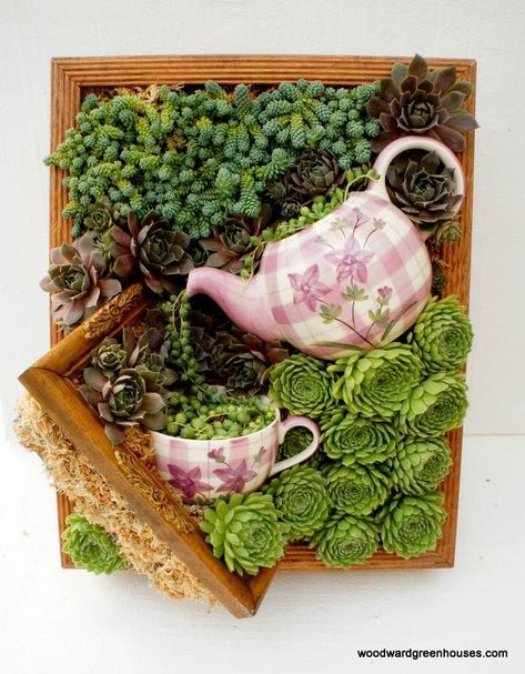 Indoors or out, let's make some DIY succulent teacup gardens and planters with these easy to follow tutorials and instructions! Amazing and easy project! Succulent Frame, Teacup Gardens, Vertical Vegetable Garden, Succulent Wall Art, Deco Nature, Vertical Gardens, Succulent Wall, Succulent Gardening, Have Inspiration