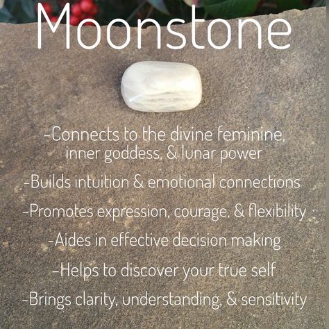 Moonstone is powerful & gentle at the same time. It connects to the power, intuition, & sensitivity of the moon & the divine feminine within each of us. It strengthens, nurtures, & protects. 🌛🌚🌜 Moonstone Meaning, Moonstone Healing Properties, Crystal Bible, Crystal Benefits, Witchcraft Crystals, Shiny Rocks, Crystal Work, Sea Goddess, Moonstone Rings