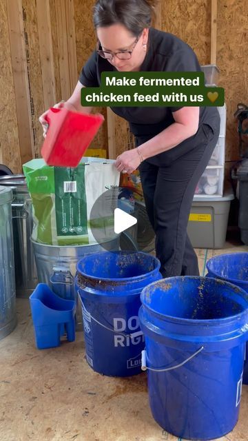 Kaleigh Elizabeth | Carolina Wren Farm on Instagram: "Do you ferment your chicken feed? 🐔   It might not be for everyone but it works for us! We also offer free choice dry feed when they aren’t free ranging. The most important part of fermenting feed is making sure that there is no mold growth.   #chickens #chickenmom #fermentedfeed #farmlife #farmanimals #feedwithme #southcarolina #scfarm #layerchickens #spoiledchickens" Fermented Chicken Food, Chicken Pvc Waterer, How To Ferment Chicken Feed, Fermented Chicken Feed How To Make, Fermented Chicken Feed Recipe, Spices To Add To Chicken Feed, Fermented Chicken Feed, Fermenting Chicken Feed, Chicken Board