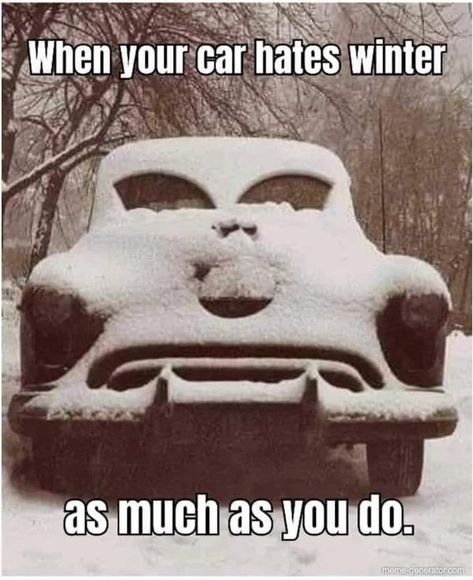 Winter Memes Humor, Winter Memes Funny, New Years Jokes Humor, Snow Humor Hilarious, Funny Snow Quotes, Cold Outside Humor, Funny New Year Quotes Humor, Winter Funny Quotes, Cars In Snow