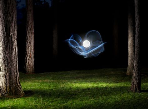 a mysterious and creepy orb is glowing in forest, at summer night.-Jan Stromme Glowing Orb, Forest At Night, Plant Hacks, Night Forest, Adventure Activities, Summer Night, High Resolution Photos, Summer Nights, Cosmos