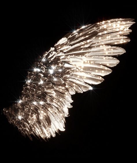 Wings Astethic, Avian Wings, Wing Board, Angel Silhouette, Crown Aesthetic, White Angel Wings, Artsy Photos, Angel Aesthetic, Gold Aesthetic