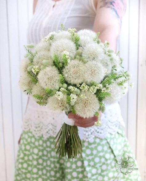 Dandelion Bouquet, Dandelion Puffs, White Dandelion, Dandelion Clock, Baby S Breath, Wildflower Bouquet, Shabby Chic Wedding, Animal Photos, Green Baby