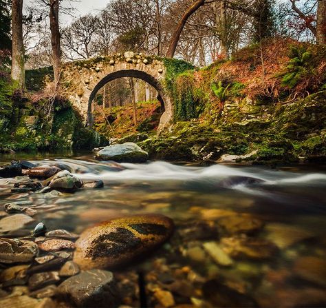 Foley bridge, Tollymore Forest, Bryansford, Co. Down Ireland Aesthetic, Best Of Ireland, Uk Landscapes, Scotland Landscape, Ireland Photography, Irish Landscape, Scenic Travel, Between Two Worlds, Ireland Landscape