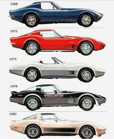 1973 Corvette, Corvette History, C3 Corvette, Corvette C3, Classic Corvette, Sales Promotion, Chevy Muscle Cars, Chevrolet Corvette Stingray, Classy Cars