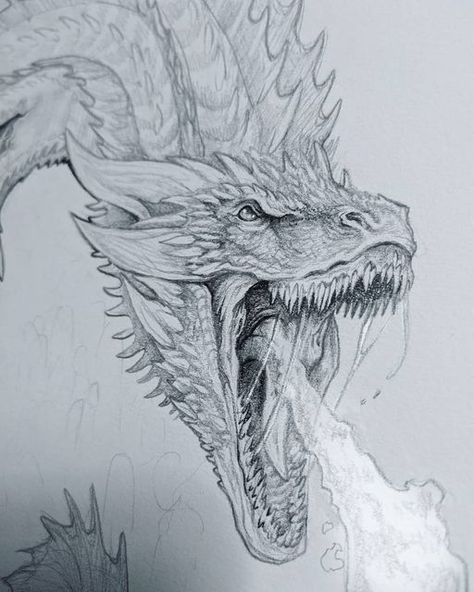 Dragon Medieval, Dragon Tattoo Art, Time God, Got Dragons, Dragon Artwork Fantasy, Targaryen Art, Asoiaf Art, Dragon Sketch, Gra O Tron