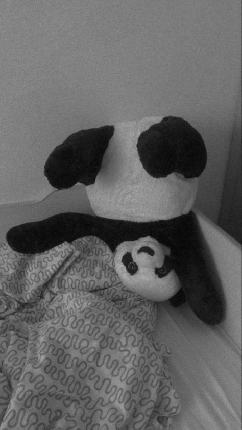 #bear #panda #home #photo Panda Teddy, Panda Teddy Bear, Bear Panda, Home Photo, Snoopy, Teddy Bear, Bed, Fictional Characters, Quick Saves