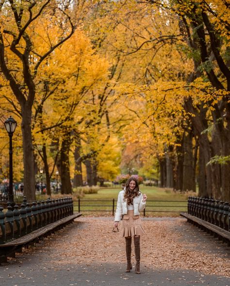 Postcards from Fall in New York City 🍂✨ The golden leaves and crisp air make everything feel magical! ❓Who else is loving this season in the city? Photo locations: 🍁 Little Island 🍁 The Seaport Pier 17 (Iconic Pumpkin Arch) 🍁 Harbor View Lawn, Brooklyn Bridge Park 🍁 E 10th St between 3rd Ave and Stuyvesant St, East Village 🍁 The Mall and Literary Walk, Central Park 🍁 Bow Bridge, Central Park … #nycfall #fallinnewyork #fallinnyc #nycphotography #nycbloggers #autumninnewyork #newyork_inst... Central Park Photoshoot Fall, Bow Bridge Central Park, Pumpkin Arch, Fall In New York City, Fall In New York, Fall In Nyc, Winter Nyc, Nyc Fall, Brooklyn Bridge Park