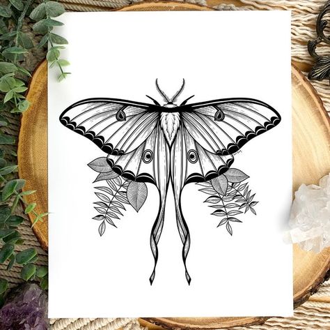 Luna Moth Tattoo Design, Lunar Moth Tattoo Design, Lunar Moth Tattoo, Luna Moth Tattoo, Moth Artwork, Borboleta Tattoo, Moth Drawing, Moth Tattoo Design, Moth Print