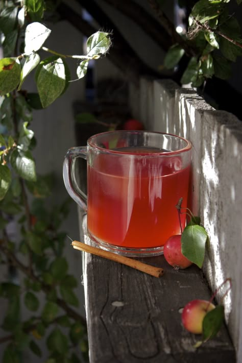 Crab Apple Cider, Crab Apple Recipes, Crab Apples, Apple Cider Recipe, Canning Recipe, Cider Recipe, Crab Apple, Apple Crumble, Garden Recipes