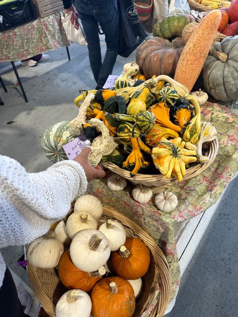 farmers market pumpkins Fall Farmers Market, Gilmore Girls Seasons, Cozy Autumn, Autumn Cozy, Farmers Market, Pumpkins, Farmer, Quick Saves