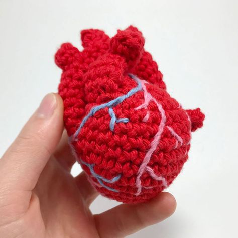 02_AnotomicalHeart_square Anatomical Heart Crochet Pattern Free, Club Crochet, Heart Amigurumi, Valentine Crochet, Heart Organ, Valentine Projects, Homemade Valentines, Anatomical Heart, Human Heart