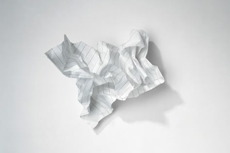 The same forces that govern a scrunched-up piece of paper can explain the numbers of folds and grooves in human, pig, elephant and rat brains Human Pig, French Bulldog Tattoo, Wrinkled Paper, Paper Ball, Dance Project, Crumpled Paper, Paper Balls, Nose Drawing, Still Life Drawing