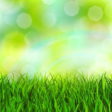 Grass background | Free Vector #Freepik #freevector #grass-background #green-texture #green-background #green-wallpaper Green Grass Background, Powerpoint Background Templates, Grass Vector, Tree Plan, Grass Wallpaper, Grass Background, Photo Editor Free, Abstract Art Wallpaper, Backdrops Backgrounds