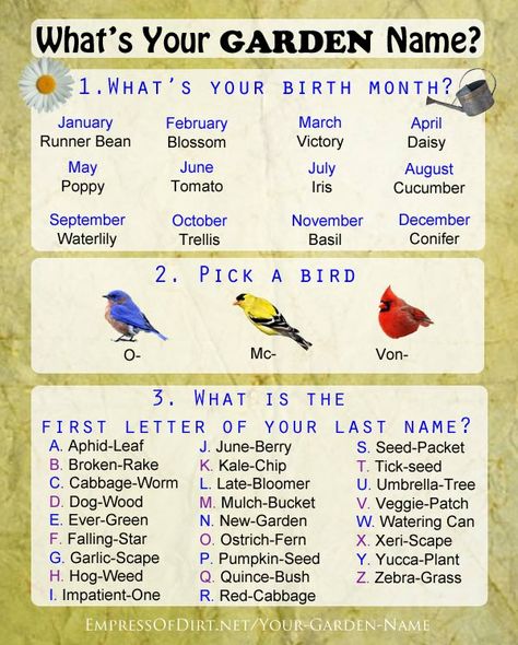 What's Your Garden Name? Come find out! empressofdirt.net/your-garden-name  #gardening Find Your Name Game, Cabbage Worms, Umbrella Tree, Runner Beans, Name Games, Funny Names, Name Generator, Spring Fever, Garden Whimsy